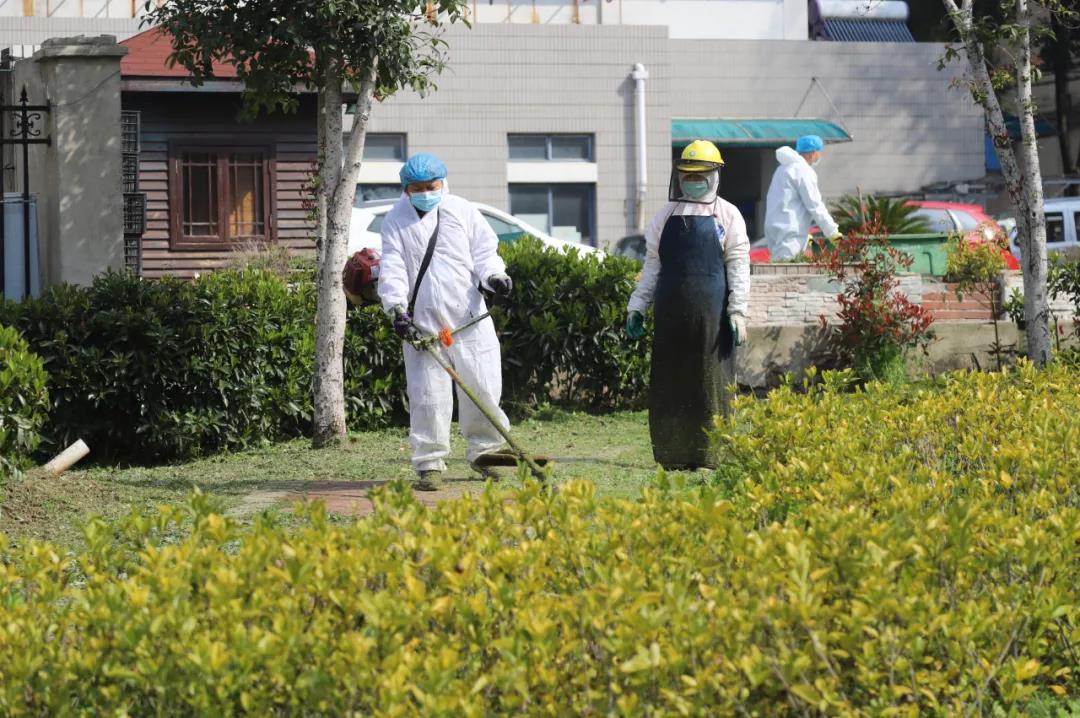 中国地质大学（武汉）后勤工作人员有序复工，修剪草坪。王俊芳/摄